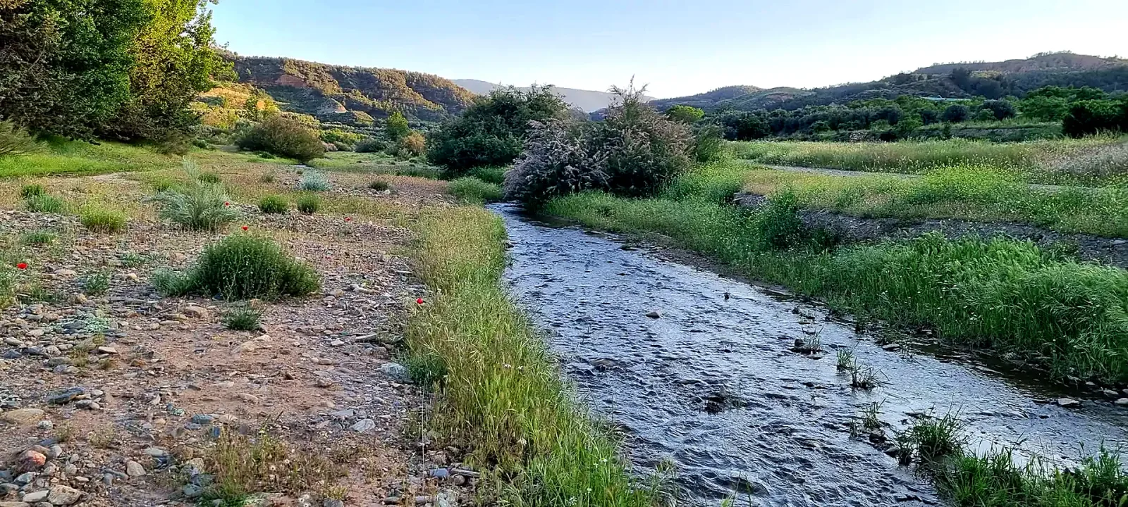 Río Alhama curvándose entre vegetación y laderas cultivadas