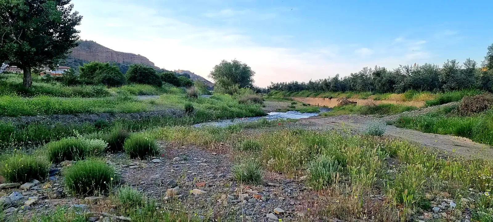 Cauce del río Alhama atravesando un paisaje de huertas y arbolado