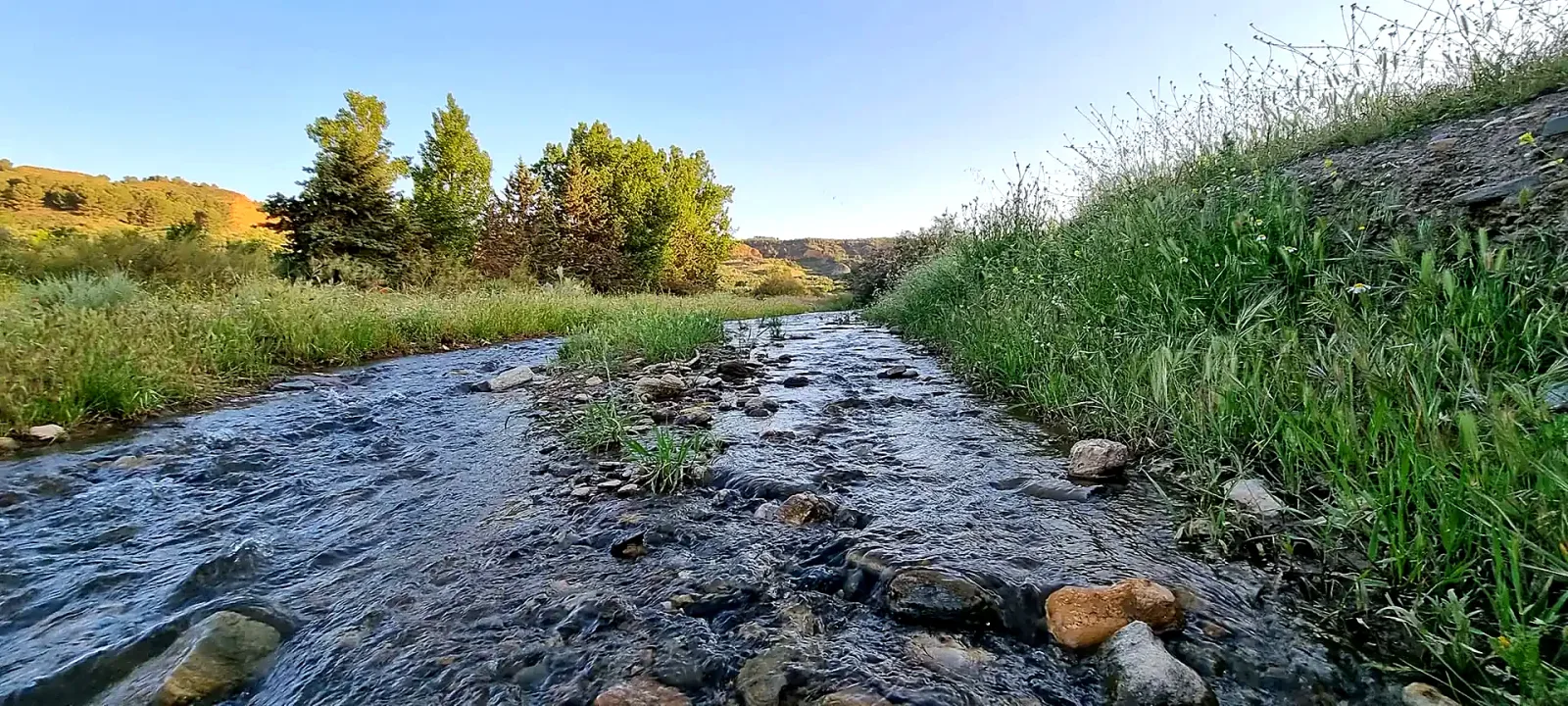 Agua discurriendo entre piedras y vegetación en el río Alhama