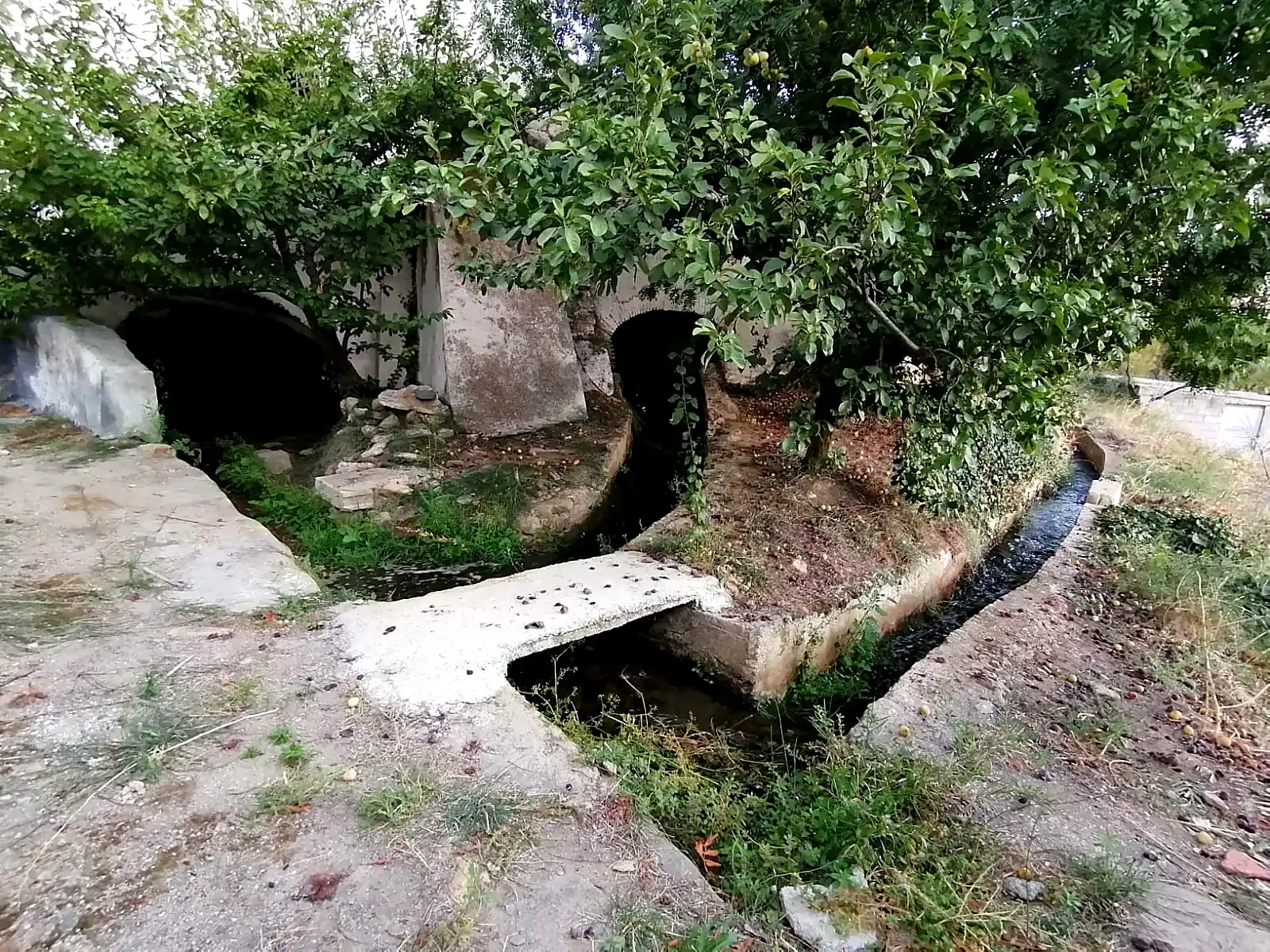 Arcos del molino entre árboles y una acequia que continúa hacia las huertas