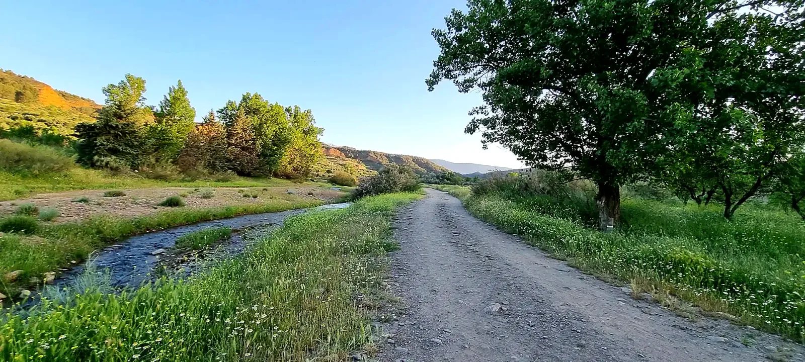 Sendero y vegetación junto al río Alhama