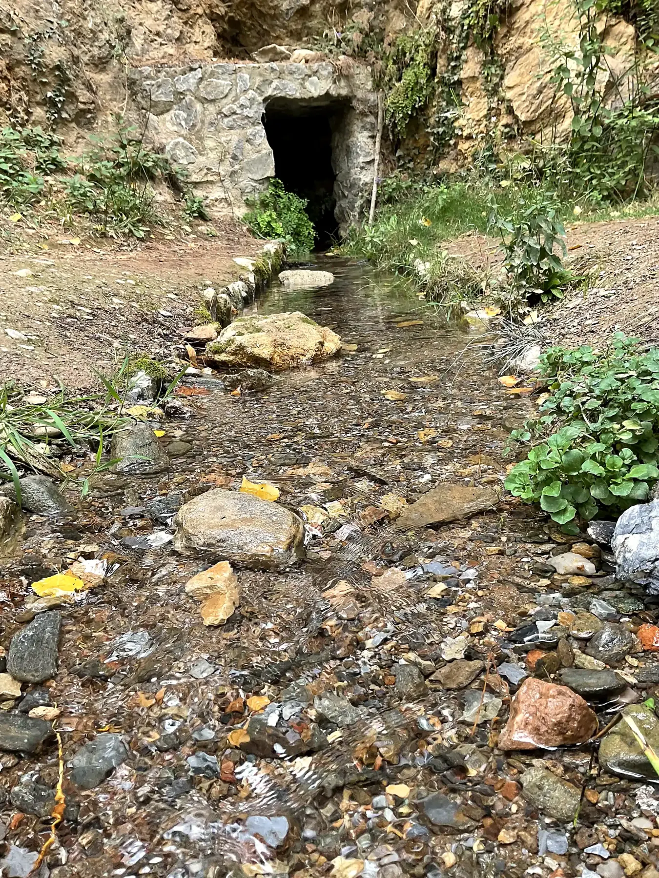 Agua transparente del manantial de El Calache discurriendo entre piedras