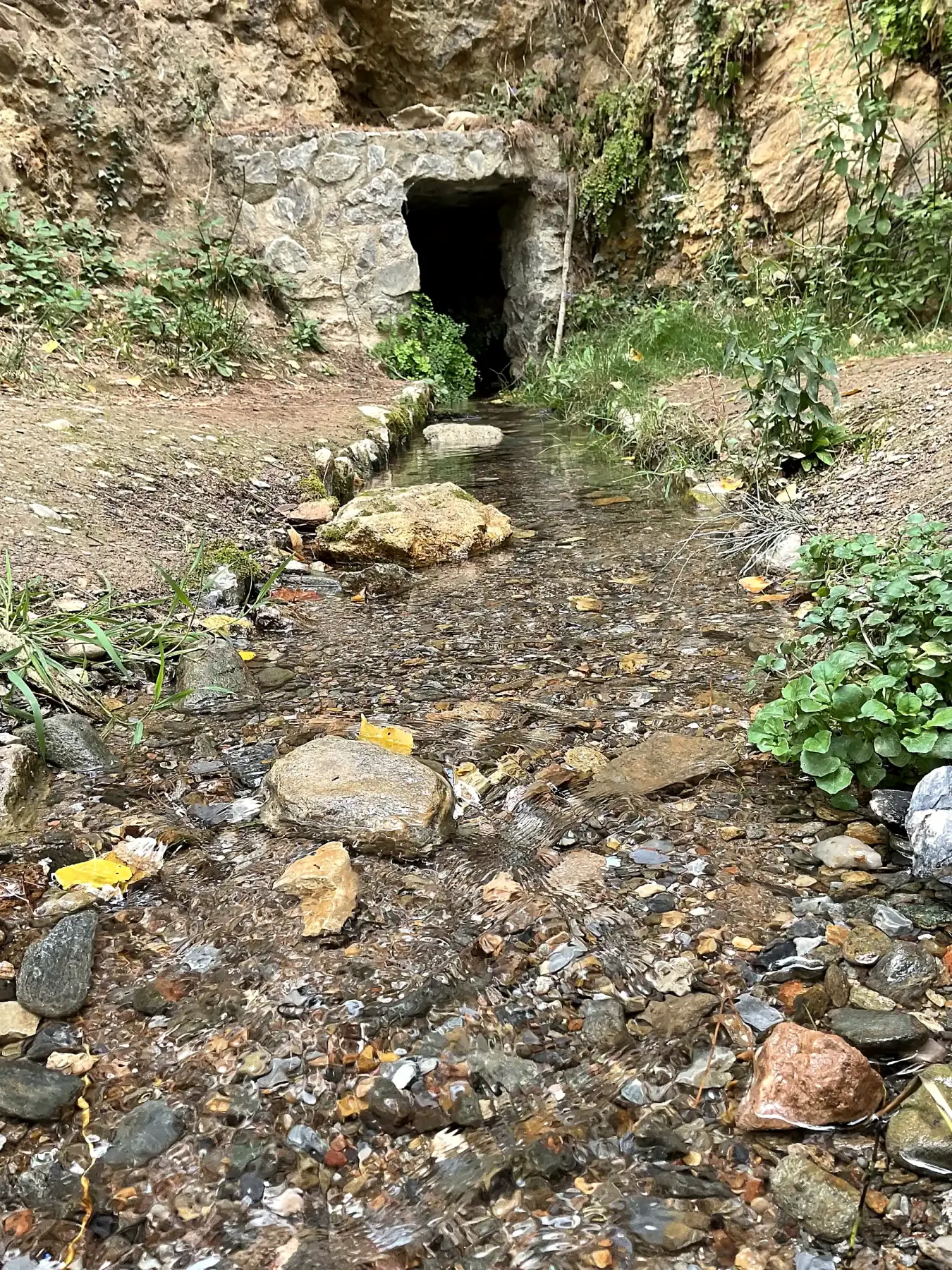 Cauce del manantial de El Calache visto desde el nivel del agua