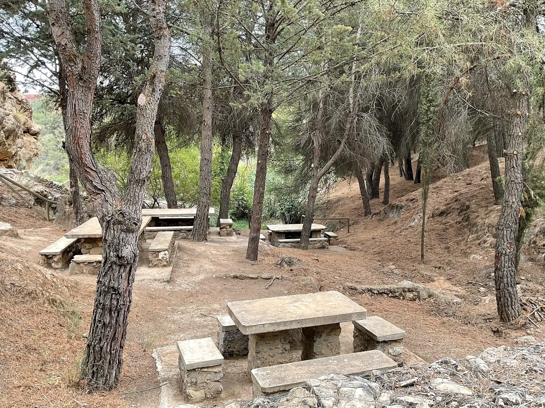 Mesas de piedra distribuidas bajo el pinar de El Calache