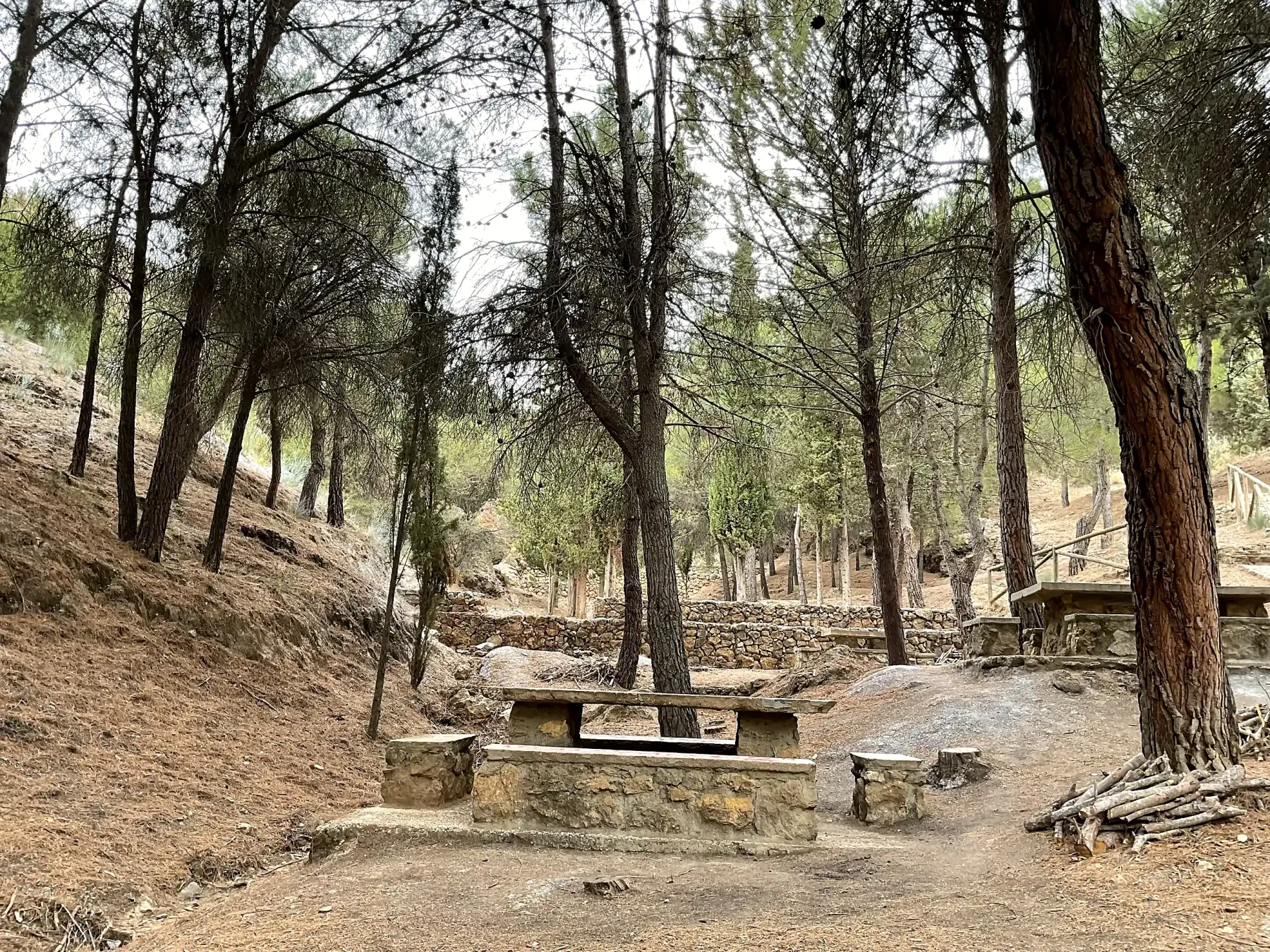 Pinar, muros y mesas del área de descanso de El Calache