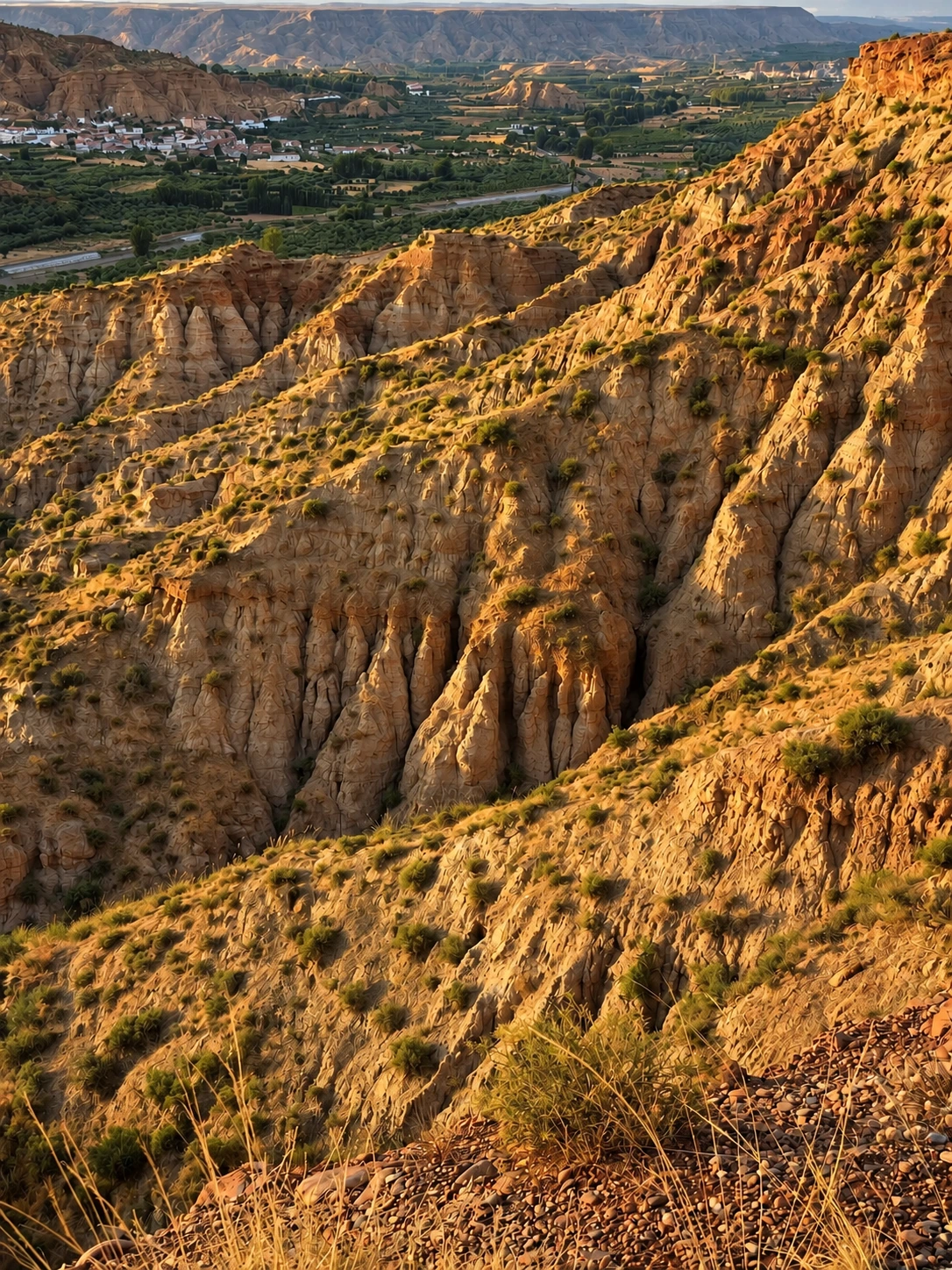 Cárcavas doradas en primer plano y Marchal al fondo, fuera de Beas de Guadix