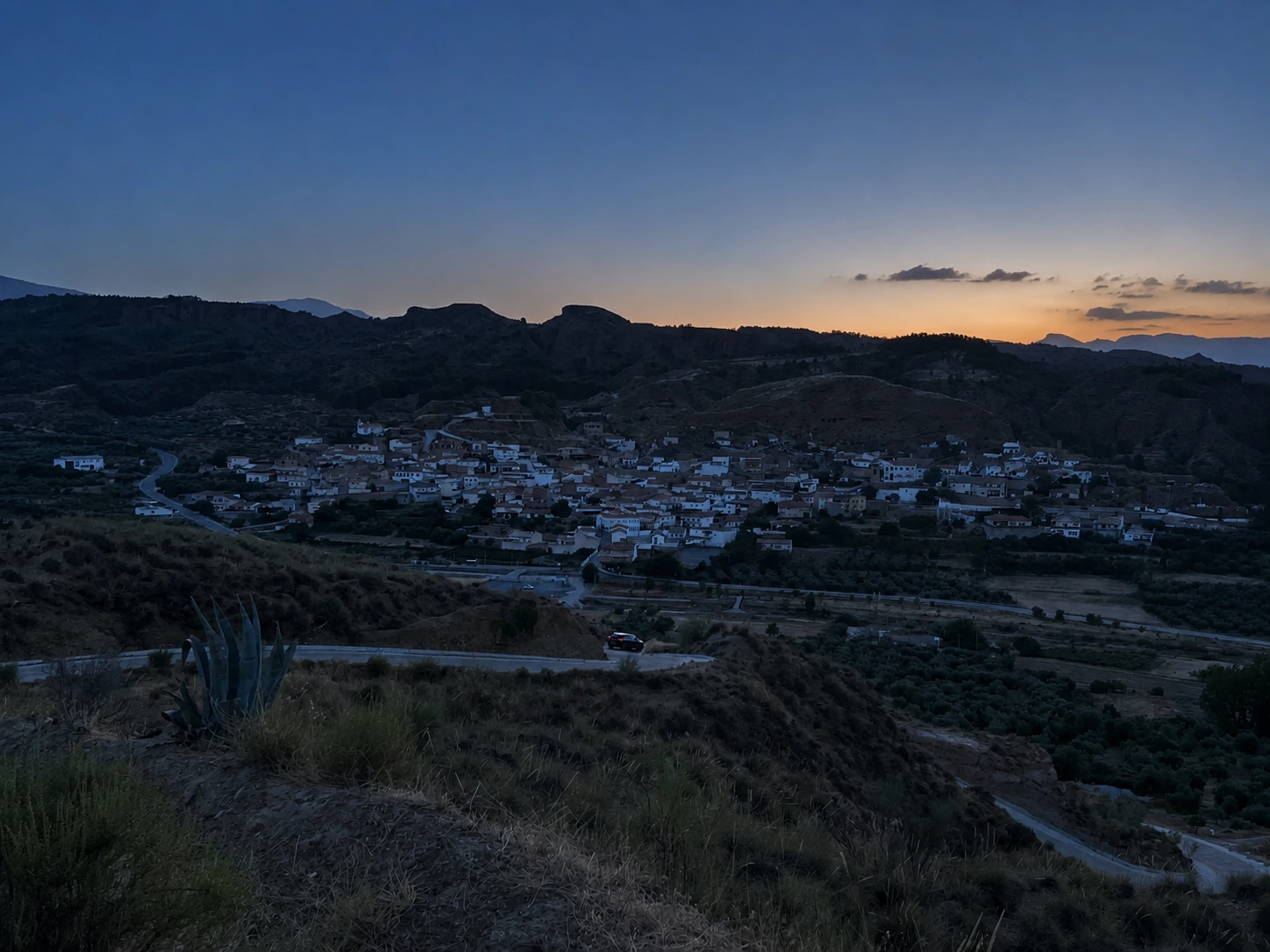 Beas y la carretera a última hora del día