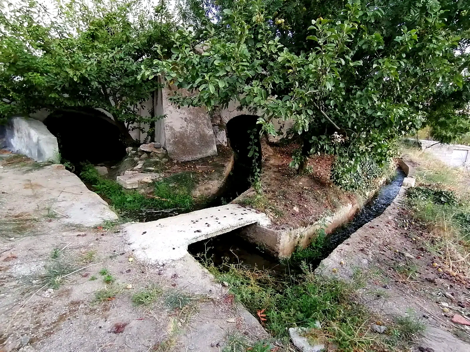 Arcos del molino entre árboles y una acequia que continúa hacia las huertas